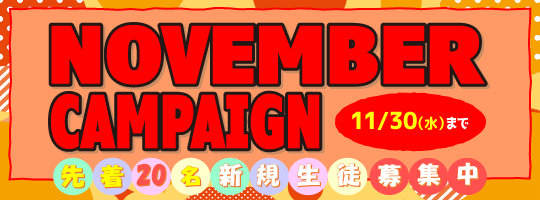 November Campaign